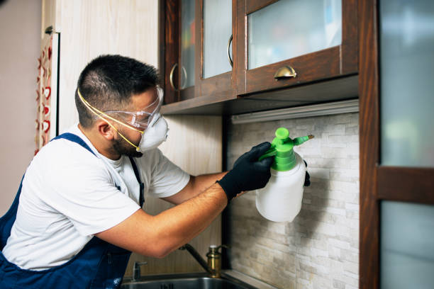 Best Local Pest Control Services  in Warren, OR
