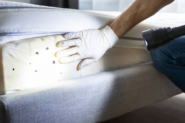 Best Rat Extermination Near Me  in Warren, OR